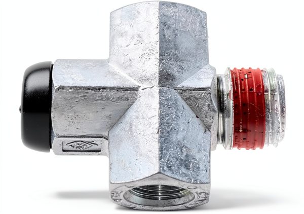 Freightliner Metal Check Valve for Automotive Replacement-1