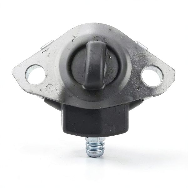 Lexus GX460 Air Pump Check Valve Replacement-2
